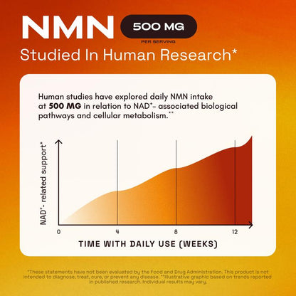 Arvella™ 1,000mg NMN Complex